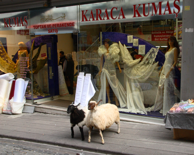 Fancy Dresses and Taxidermy Sheep, Bazaar District, Istanbul (2009)
