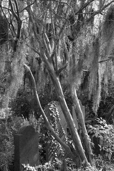 Churchyard Cemetery, Charleston, South Carolina (2009)