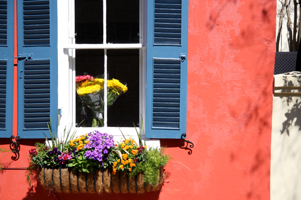 Flowers in a Window, Charleston, South Carolina (2011)
