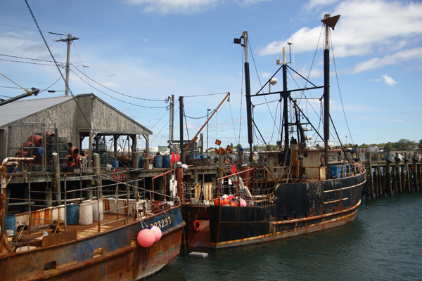 Widgery Wharf, Portland, Maine (2010)